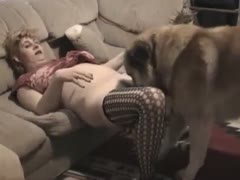 A woman with big love bubbles and brown hair loves to have sex with her dog in the living room.